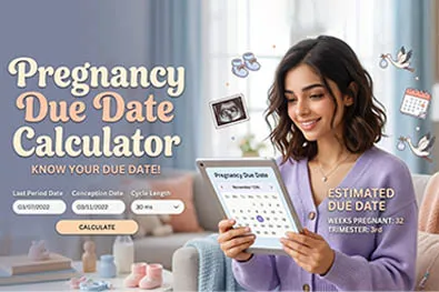 Pregnancy Due Date Calculator